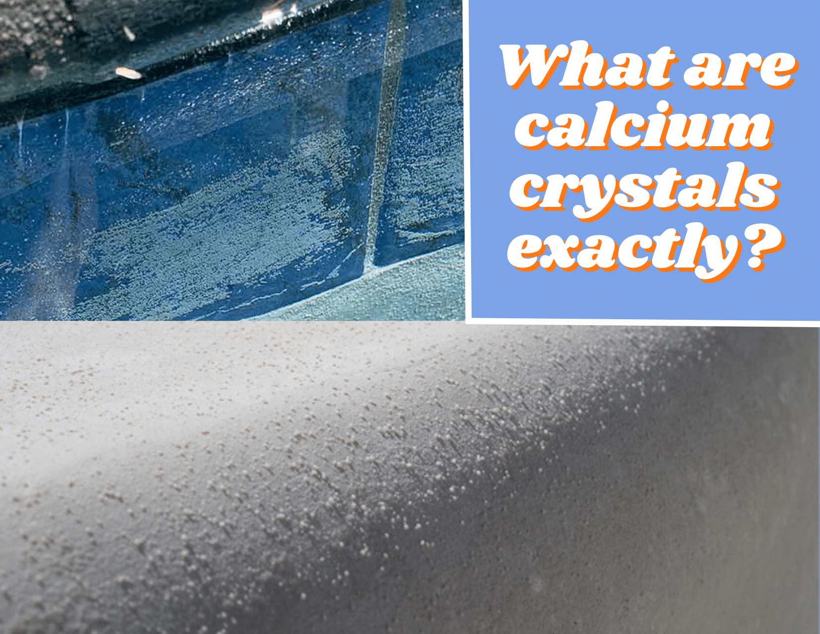 What are Calcium Cystals Exactly?