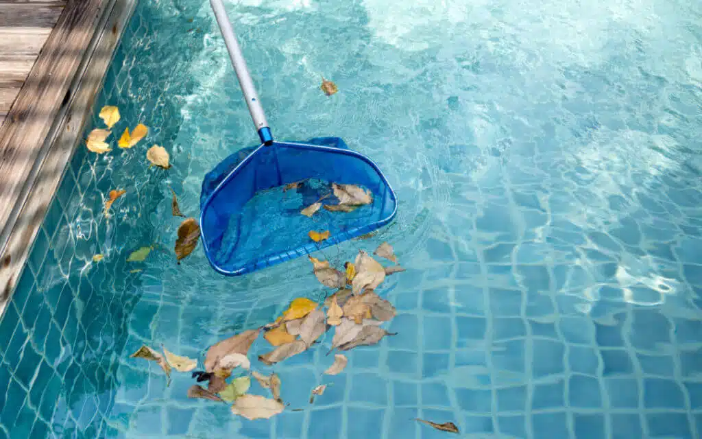 Pool cleaning net scooping leaves from water — swimming pool maintenance and cleaning service