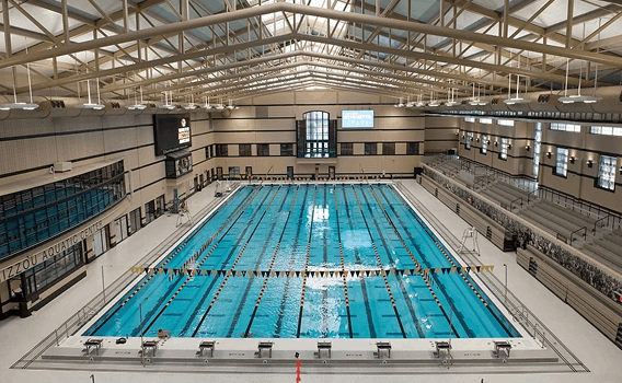 University of Colorado Colorado Springs